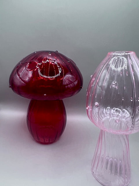 Glass Mushroom-Shaped Propagation Jars