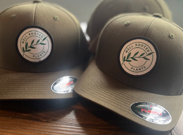 Flex Fit Hat – Well Rooted Plants