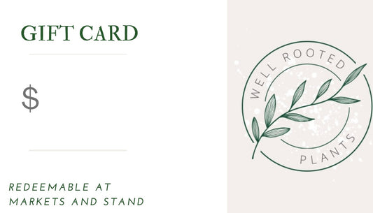 Well Rooted Plants Gift Card